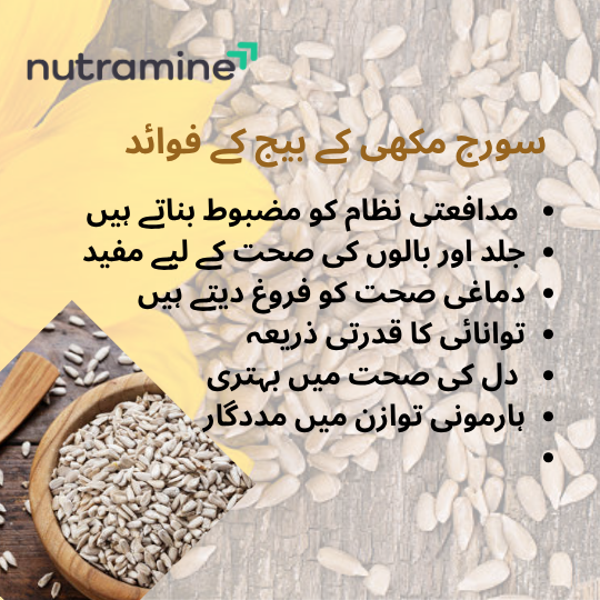 Organic Sunflower Seeds