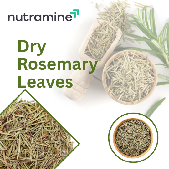 Rosemarry Leaves