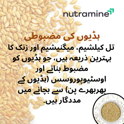 Organic Sesame Seeds