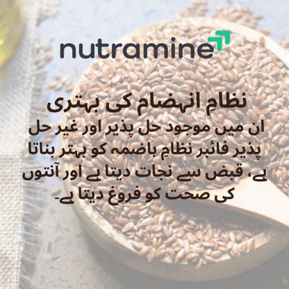 Organic Flax Seeds