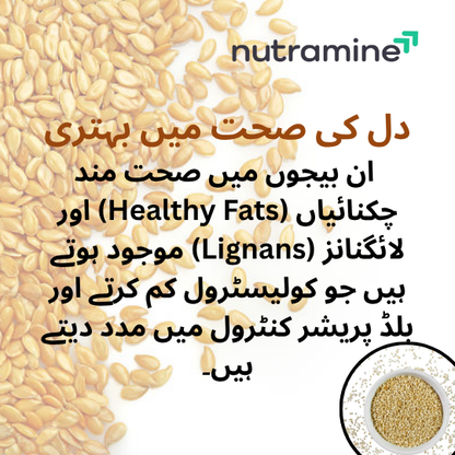 Organic Sesame Seeds
