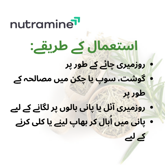 Rosemarry Leaves