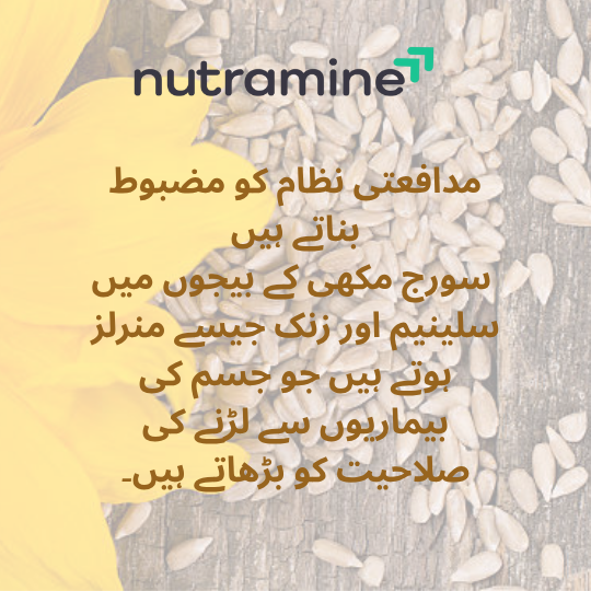 Organic Sunflower Seeds