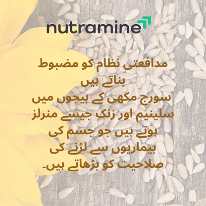 Organic Sunflower Seeds