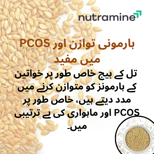 Organic Sesame Seeds
