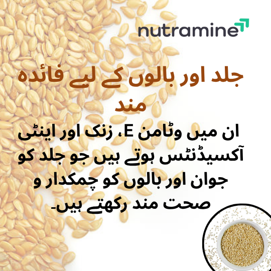 Organic Sesame Seeds