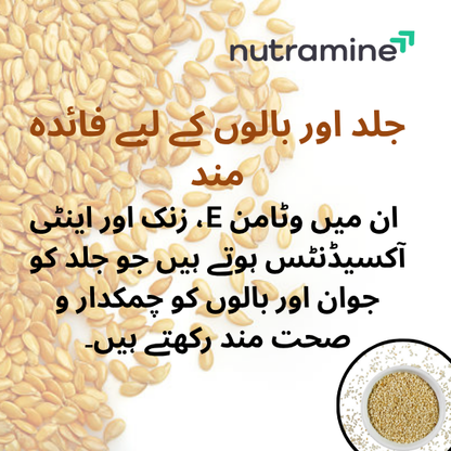 Organic Sesame Seeds