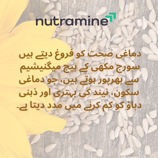 Organic Sunflower Seeds