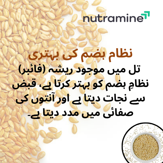 Organic Sesame Seeds