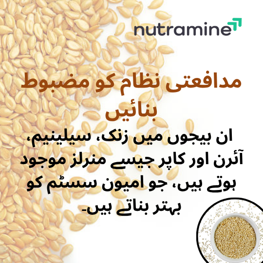 Organic Sesame Seeds
