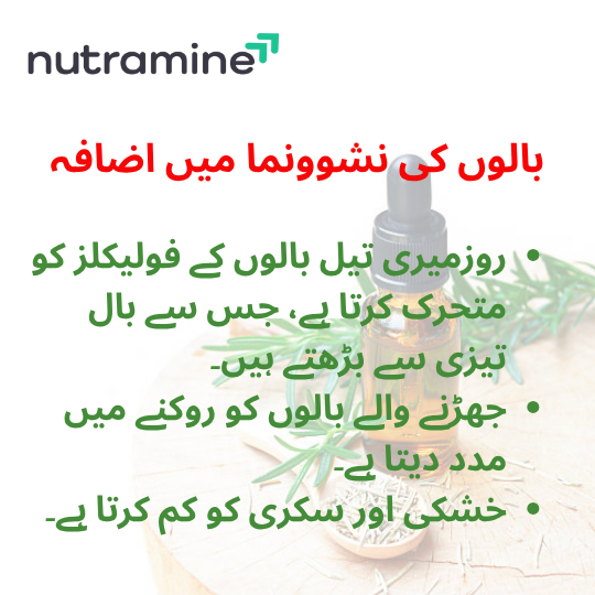 Rosemarry Hair Oil
